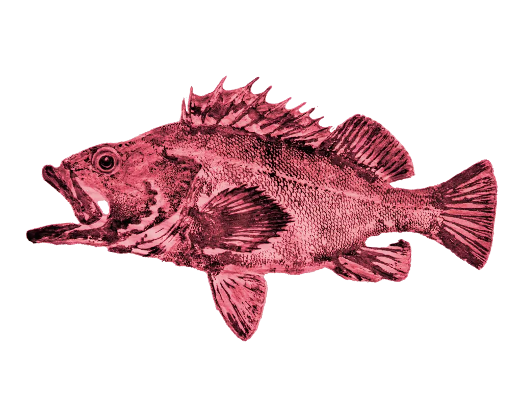 illustration de recherche