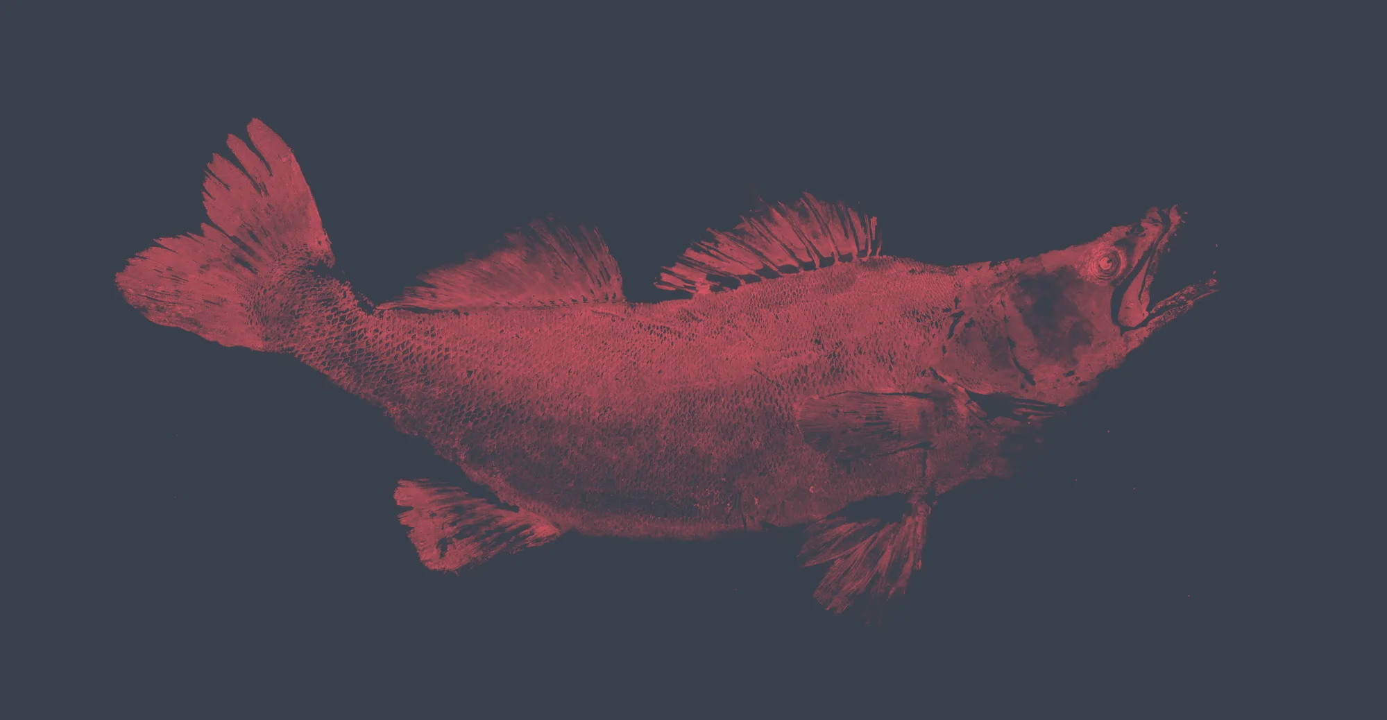 illustration de recherche